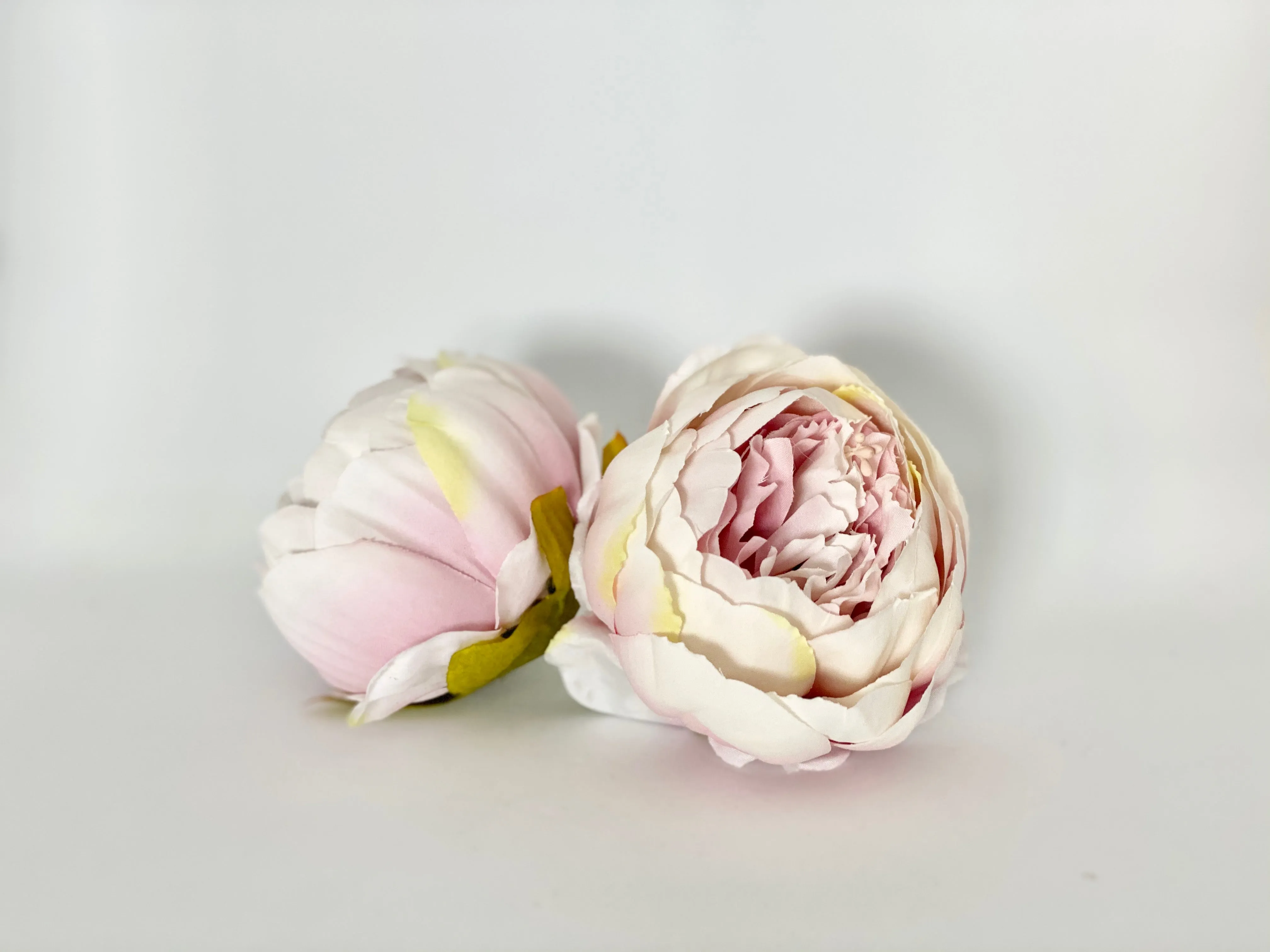 4" Vintage Blush Double Peony