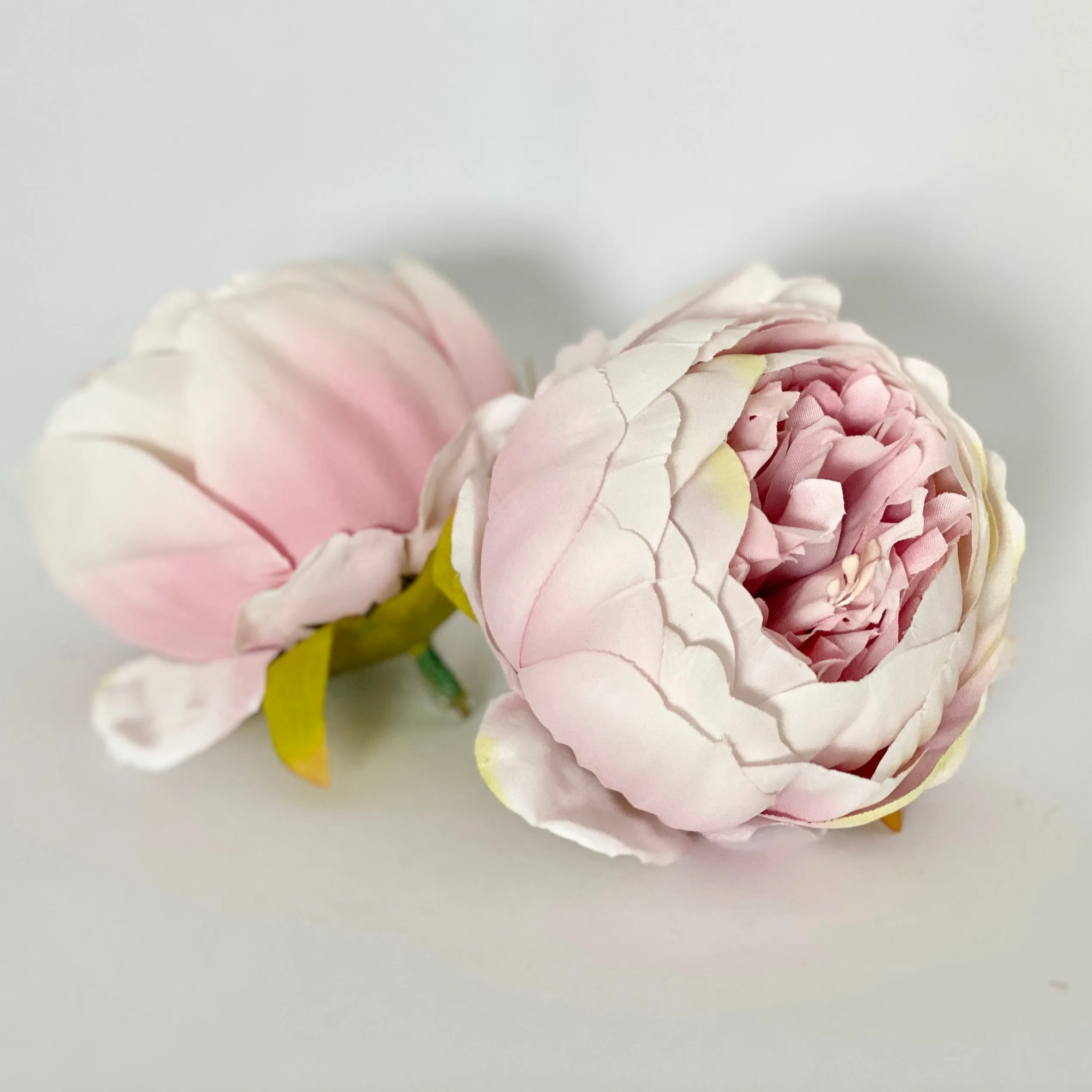 4" Vintage Blush Double Peony