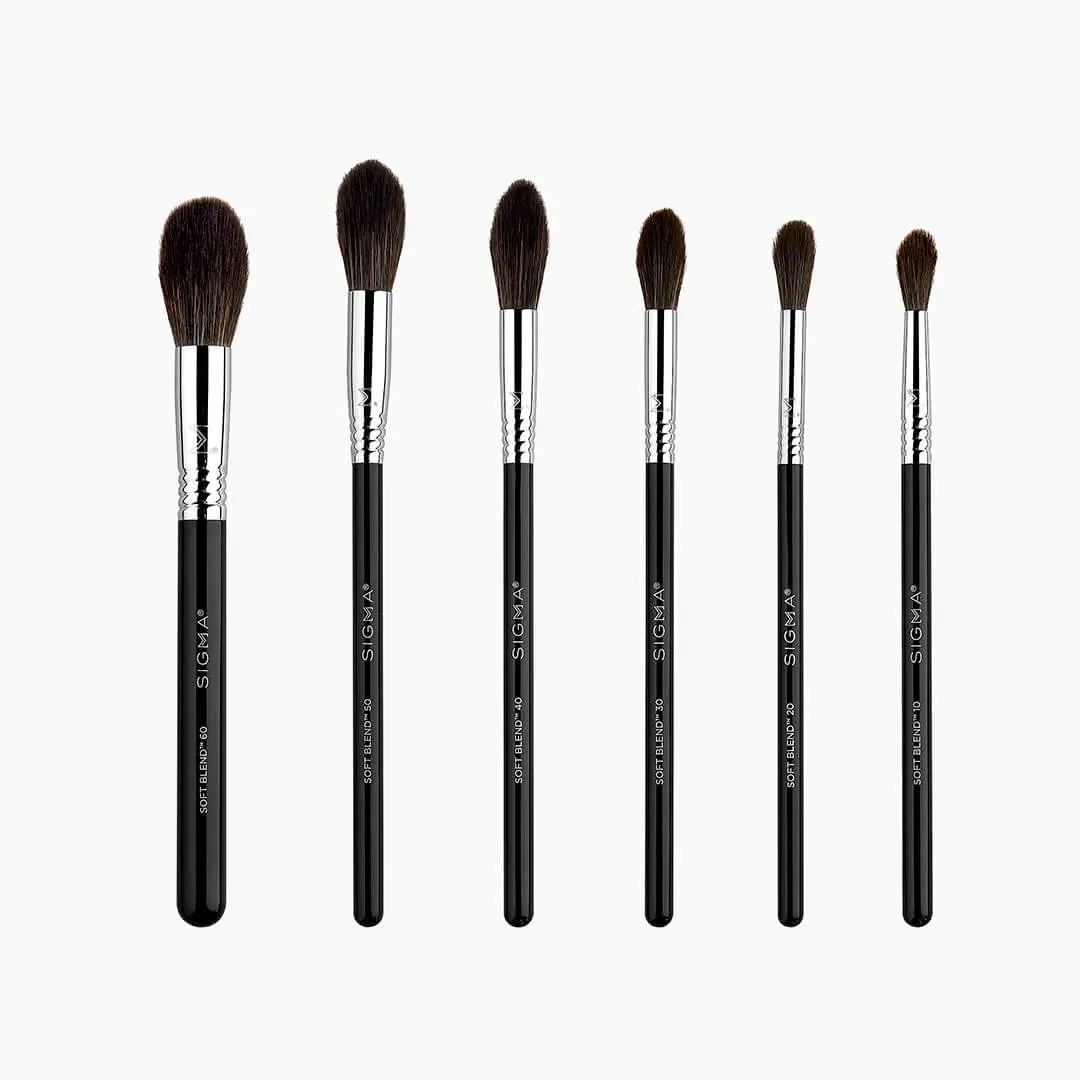 Sigma Beauty Soft Blend Brush Set